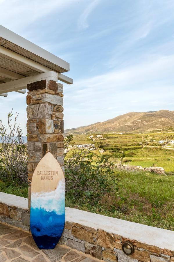 Villa Kalliston Naxos à Akrotiri  Extérieur photo